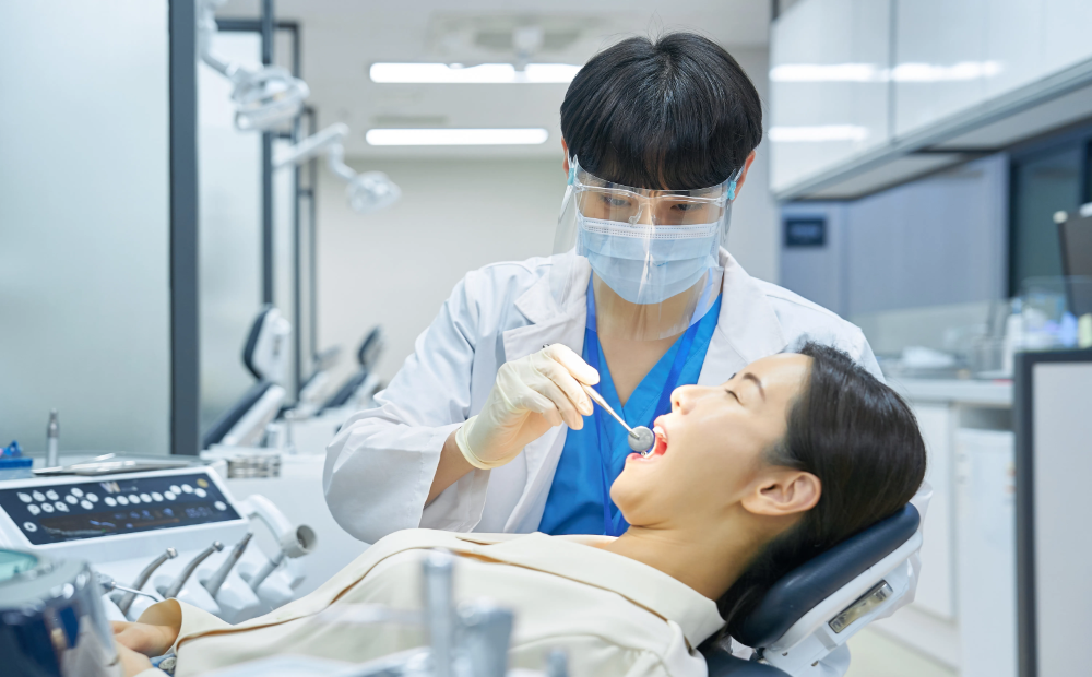 함께 볼만한 정보